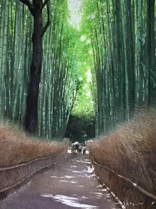 Kyoto Arashiyama: Sunlight in the Bamboo Grove