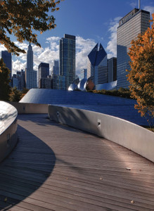 Chicago Autumn