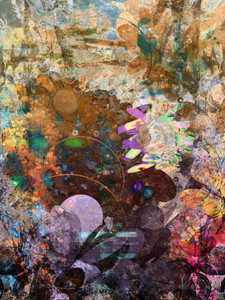 Flower Fever
