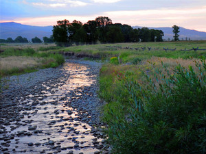 Behind Mormon Row