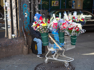 Flowers in Bulk