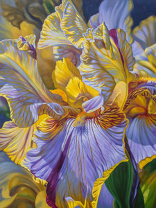 Floralscape, 2: Mauve and Yellow Irises