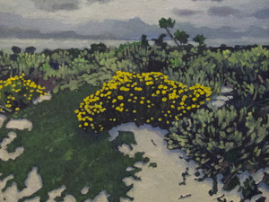 Yellow Dune Flowers in Carmel, CA