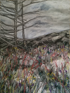 Chiricahua Drawing Series, Untitled #1