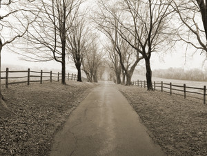 Araby Farm Lane