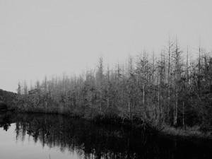 Peace... Found