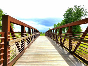 Bridge to Peace