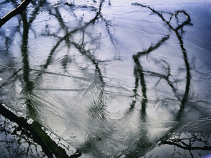 Ice Art