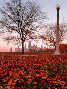 Autumn Sunset​