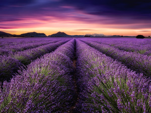 Mindfulness​​
