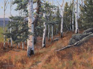 Kachina Peaks Wilderness