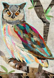 Bright Eyed Collage Owl