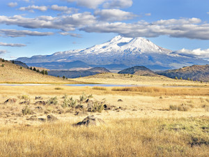 Autumn Pasture and Mt. Shasta