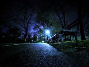 Central Park Bench