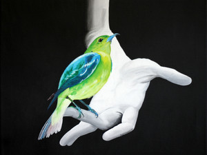 Bird, Hand