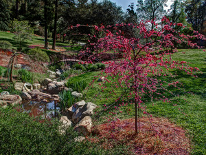 Bloom and Bridge