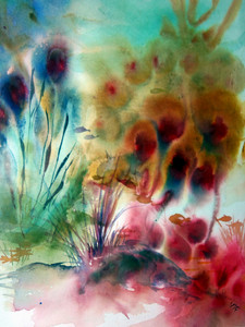 Reef Dream