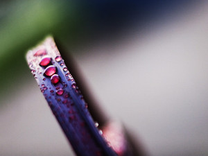 Droplets​​​