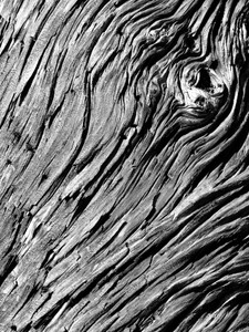 Texture 2​