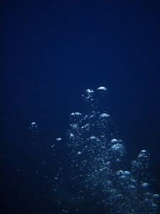 Emergence​​​​