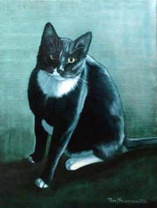 George the Tuxedo Cat