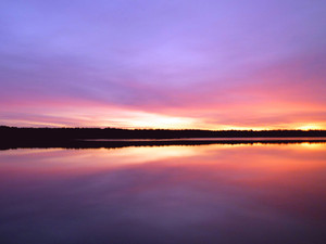 Tranquility​​​​​​