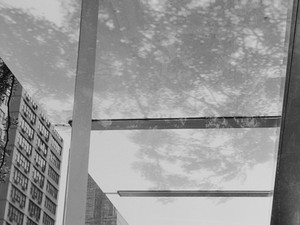 untitled (0828-22A, NYC)