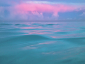 Horizon II