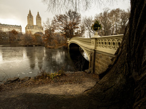 Central Park Bridge