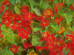 Nasturtiums​​