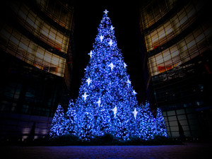 Diamond Covered Christmas Tree