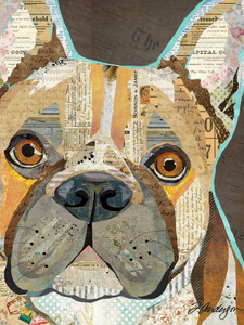 French Bulldog Collage