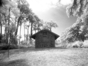 the house​​