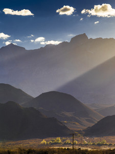 Afternoon Rays of Light