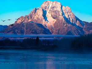 Morning in Teton #2