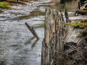 Backwater