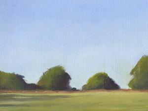Early Morning Light Study