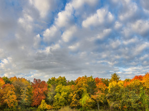 Autumn colors of the farm