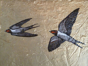 Swallows