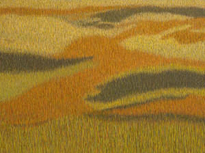 Grassland #27