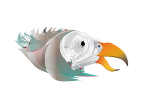 Bird of Prey