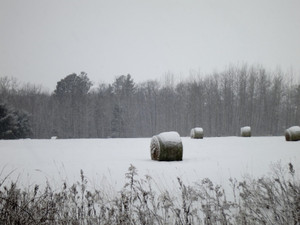 Wintering Over