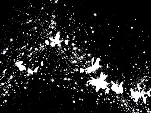 The Fluttering of Tiny Wings