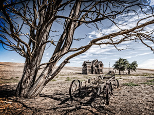 Abandoned​​​​