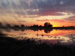 Somewhere West of Monrovia