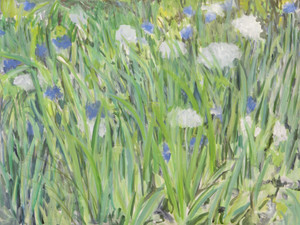 #650. Queen Ann’s Lace & Chicory,