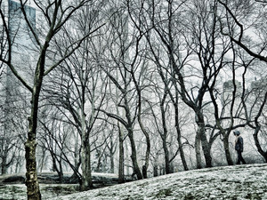 Central Park Solitaire