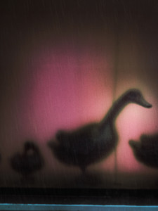 Escapism