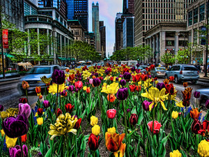 Michigan Ave Spring