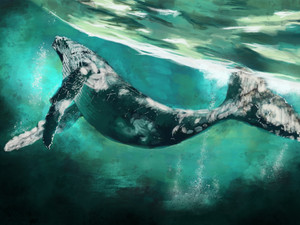 Whale Yoga